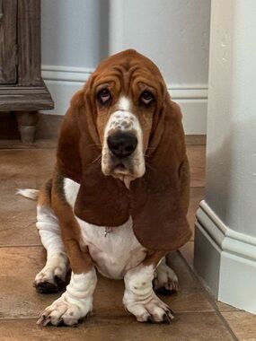 Meet your Posher, Lori